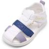 Navy/Purple