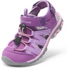 Purple/Light/Purple