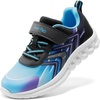 Blue/Black