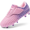 Pink/Purple
